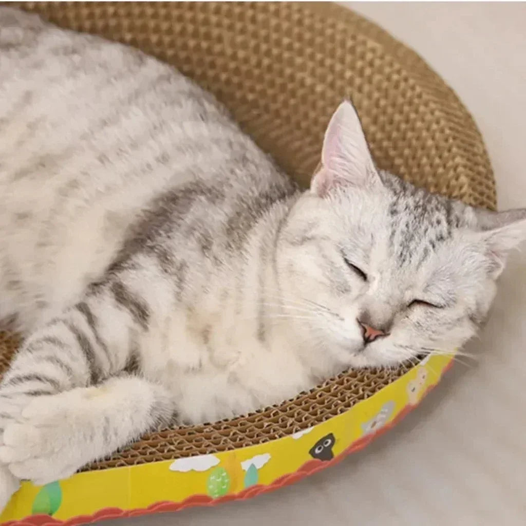 Oval Cat Scratching Board – Corrugated Paper Claw Toy & Furniture Protector