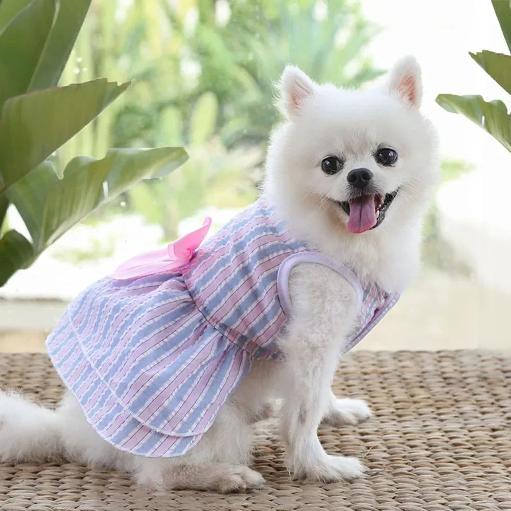Summer Princess Dog Dress, Tutu Skirt Outfit for Small Dogs, Puppies & Cats