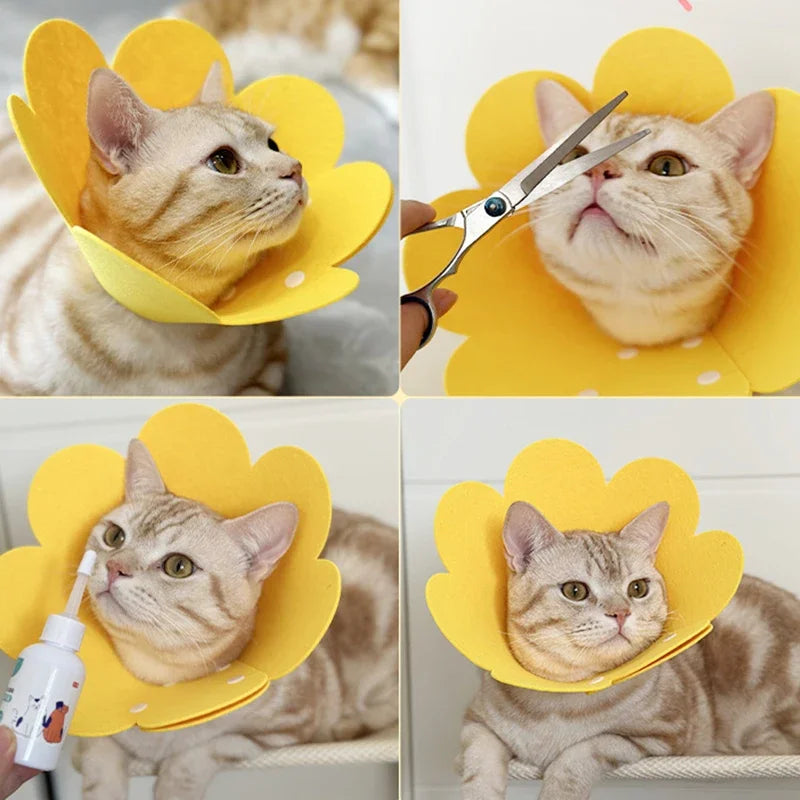 Pet Recovery Cone Collar — Anti-Bite & Lick Protective Neck Cone