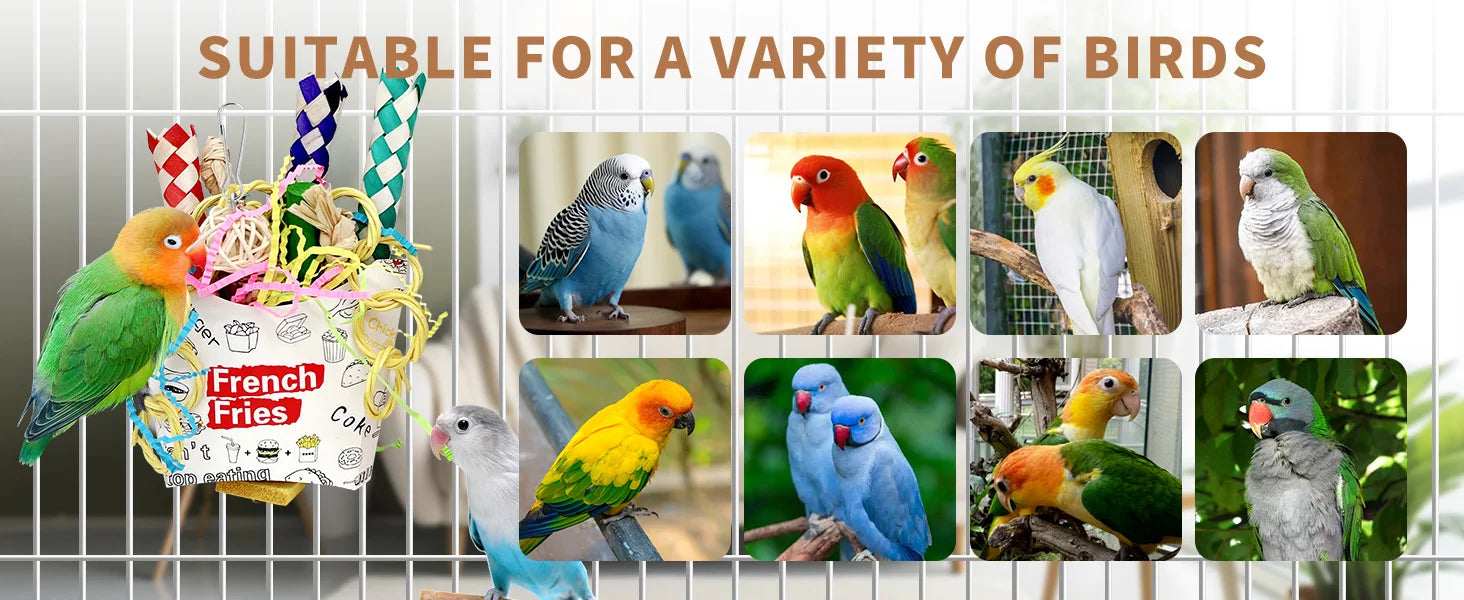 Foraging Hanging Toys for Parrots