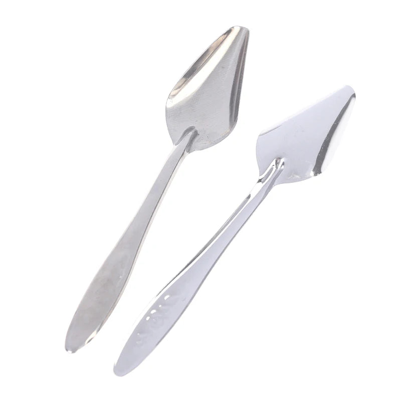 Baby Bird Feeding Spoons – Stainless Steel Milk & Medicine Feeder for Parrots