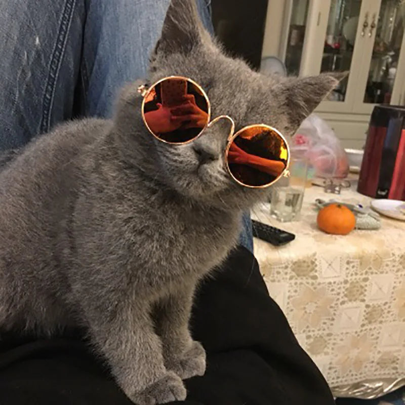 Vintage Round Pet Sunglasses for Small Dogs & Cats