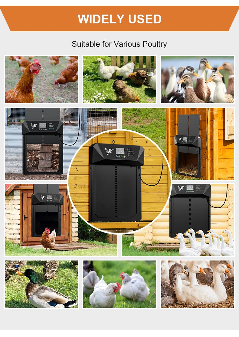 Large Automatic Chicken Coop Door