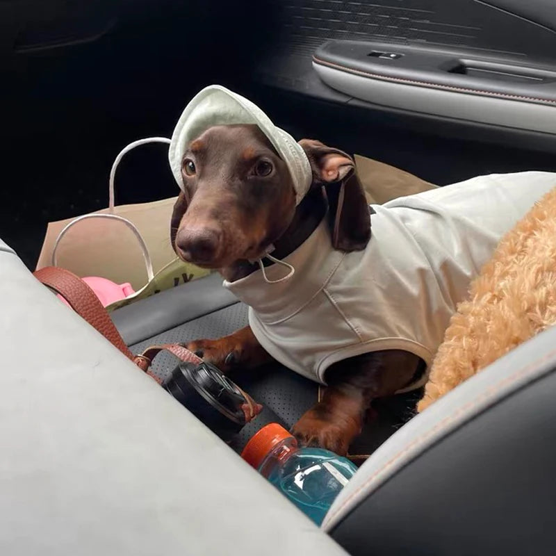 Summer T-Shirt for Dachshunds, Soft Grey Short Sleeve Vest for Wiener Dogs