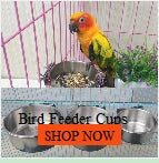 Parrot Chew Toy with Wooden Blocks for Large Birds