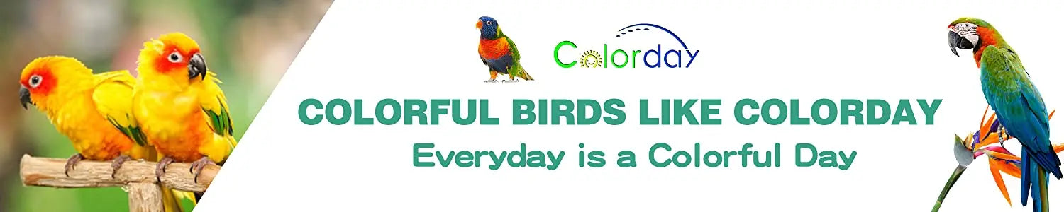 Interactive Talking Training Toy for Parrots — Voice Recording & Playback