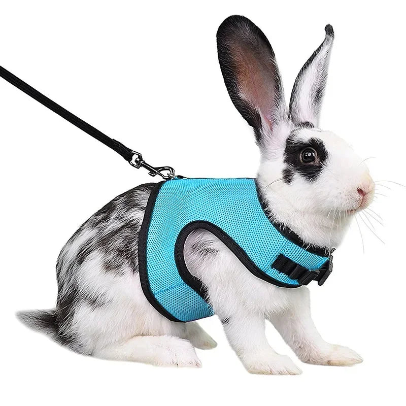Multi-Color Breathable Vest & Adjustable Harness with Leash for Small Pets