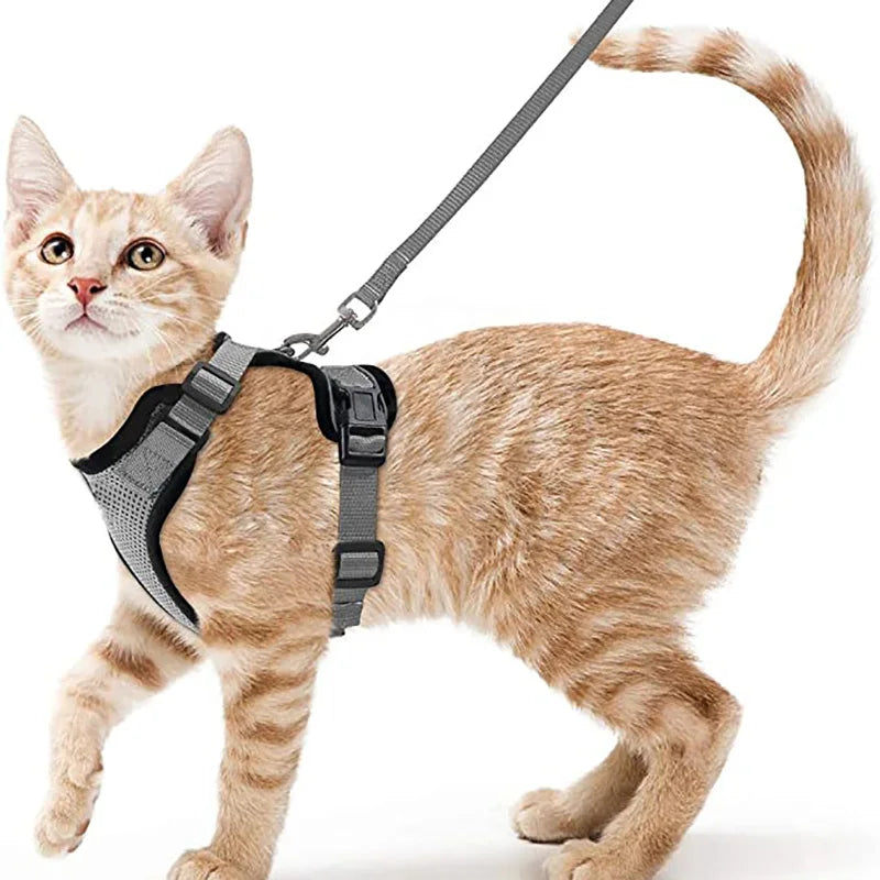 Escape-Proof Cat Harness & Leash Set