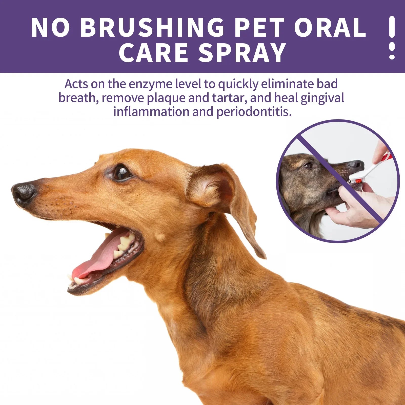 Pet Oral Cleanse Spray for Dogs & Cats, Breath Freshener & Tartar Remover