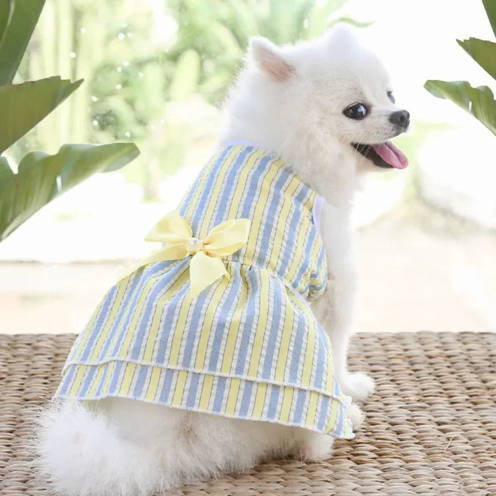 Summer Princess Dog Dress, Tutu Skirt Outfit for Small Dogs, Puppies & Cats