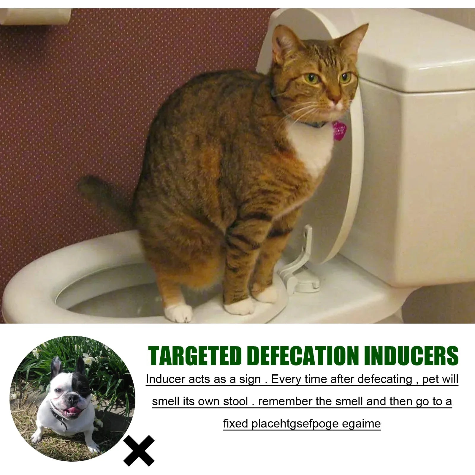 Pet Toilet Training Spray – Indoor Puppy & Cat Potty Training Aid