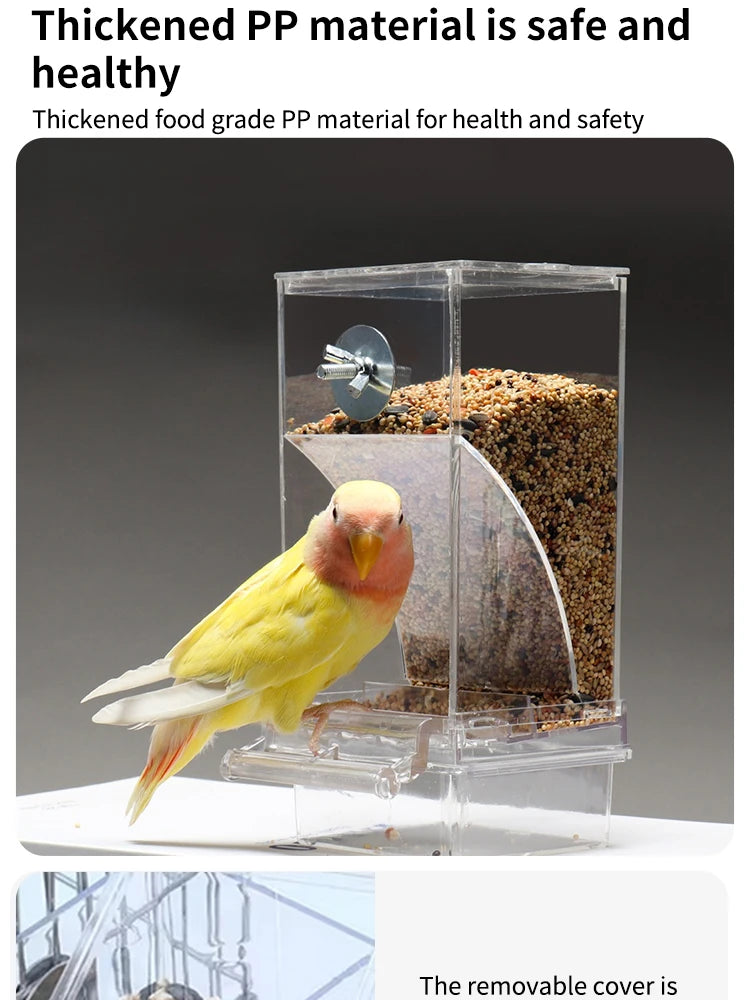 Spill-Proof Automatic Bird Feeder — Splash-Proof Outdoor Feeder for Parrots & Birds