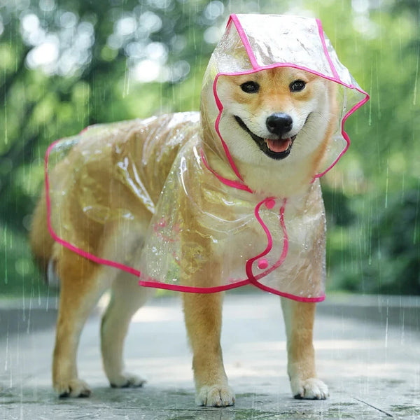 Transparent Pet Dog Raincoat Waterproof Hooded PVC Jacket for Small Dogs