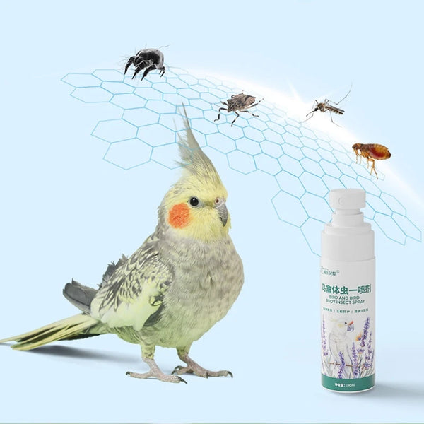Bird Mite & Lice Spray – Parrot & Cage Insect Repellent