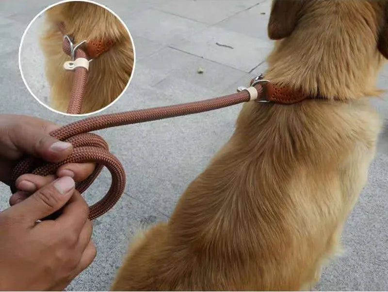 Heavy-Duty Slip Rope Dog Leash – for Medium & Large Dogs