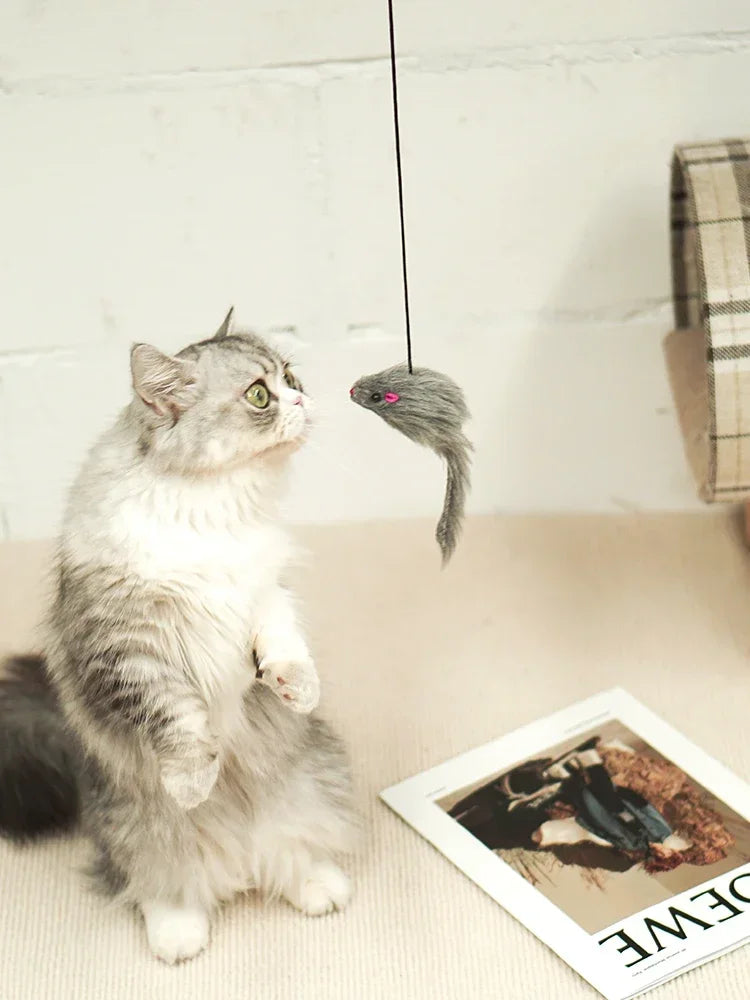 Retractable Hanging Cat Toy with Simulated Mouse, Interactive Door Teaser