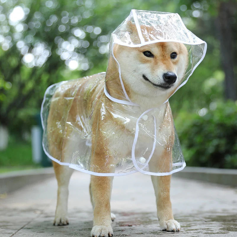 Transparent Pet Dog Raincoat Waterproof Hooded PVC Jacket for Small Dogs