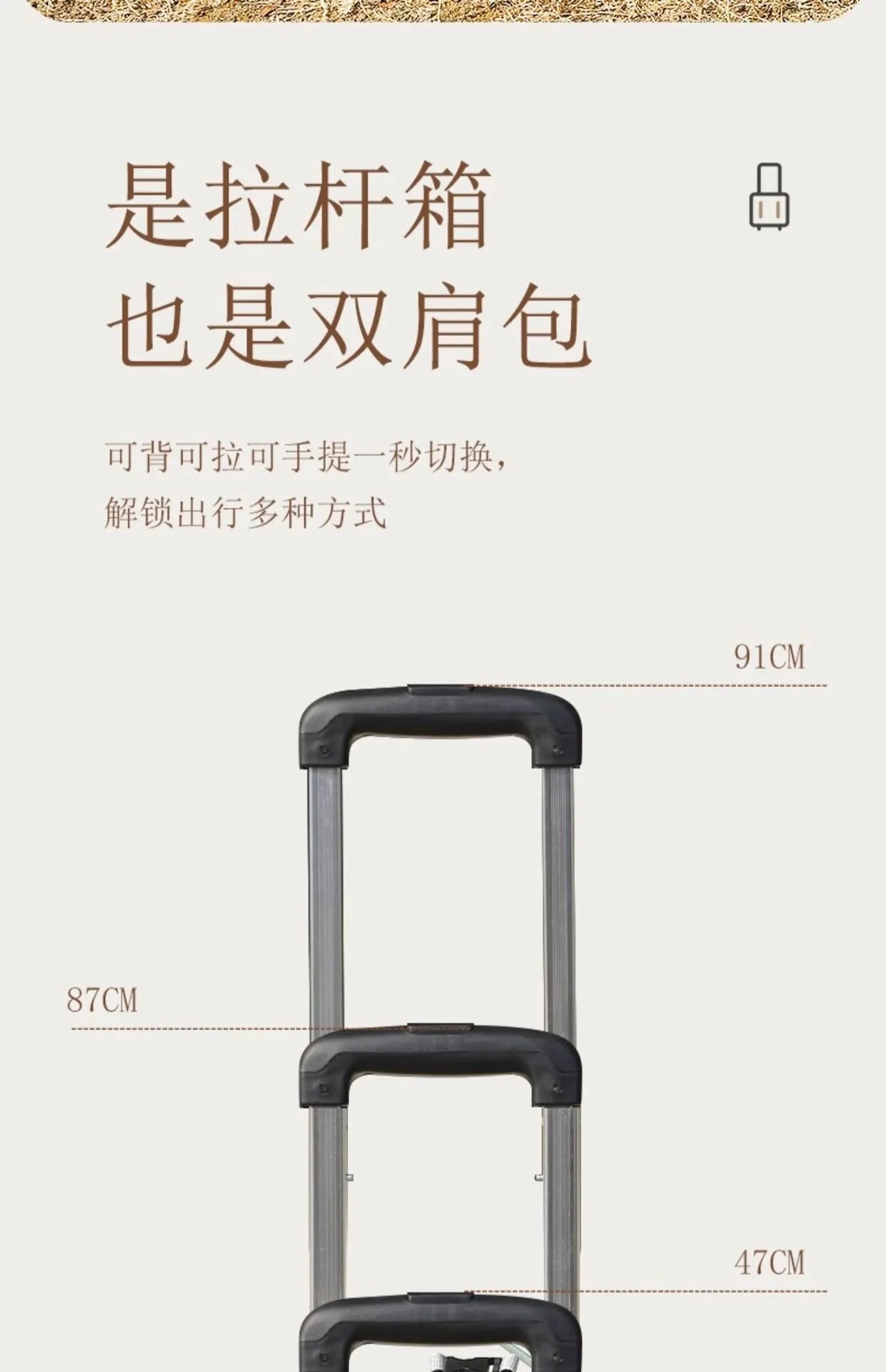 Extra Large Foldable Pet Trolley Case, Detachable Travel Carrier for Dogs & Cats