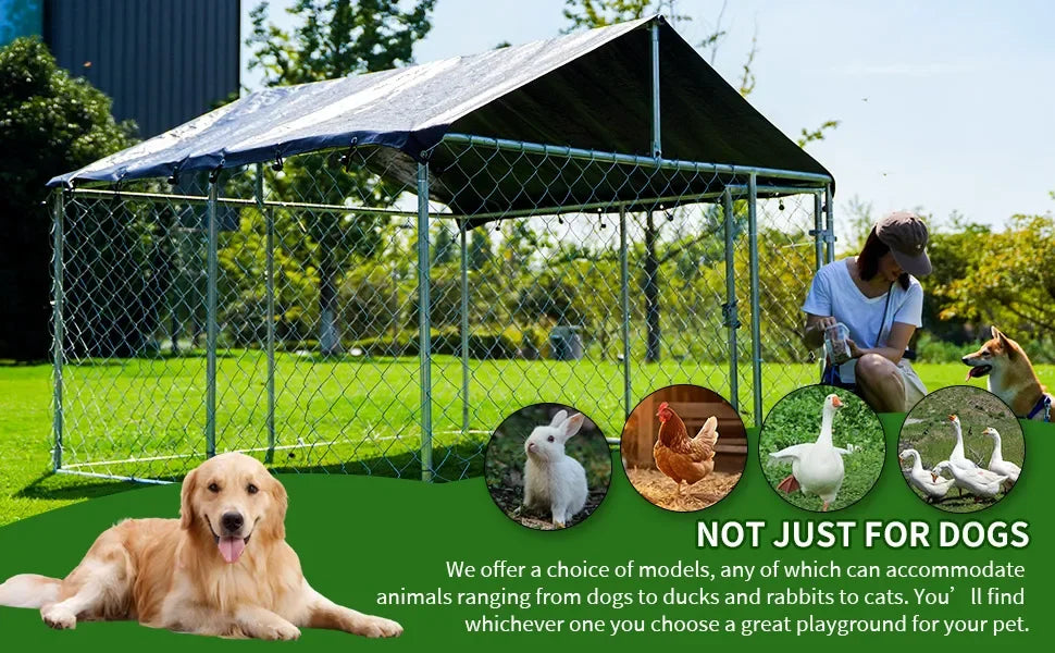 Heavy-Duty Outdoor Dog Kennel