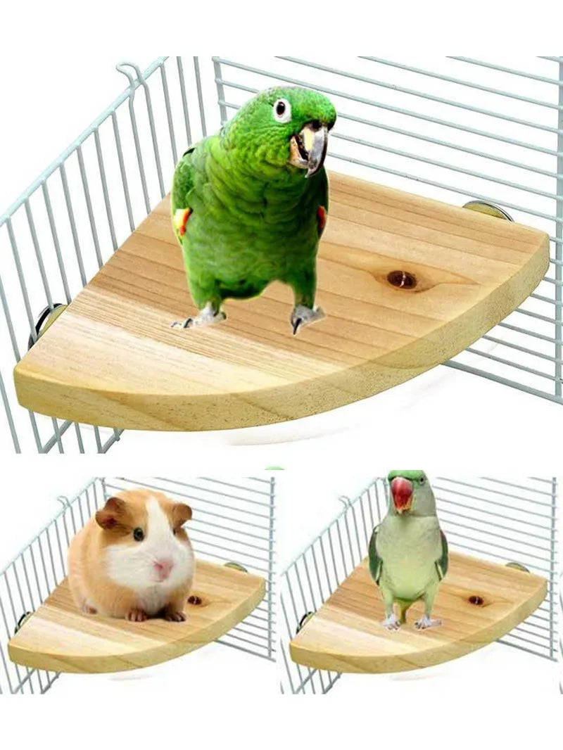 Fan-Shaped Wooden Perch Stand for Birds & Small Pets