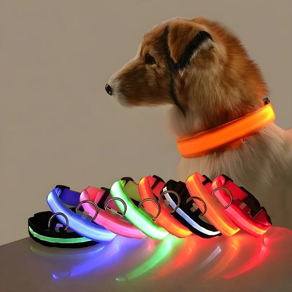 Luminous LED Dog Collar