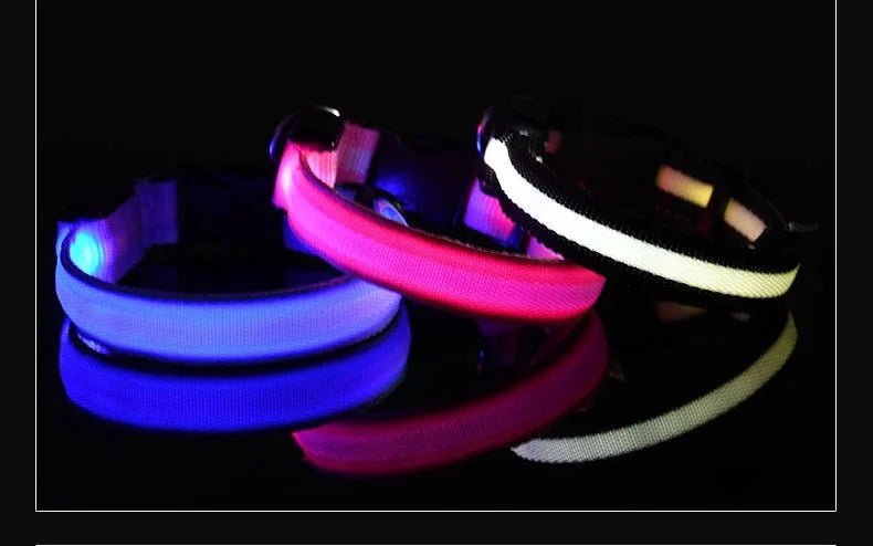 Luminous LED Dog Collar