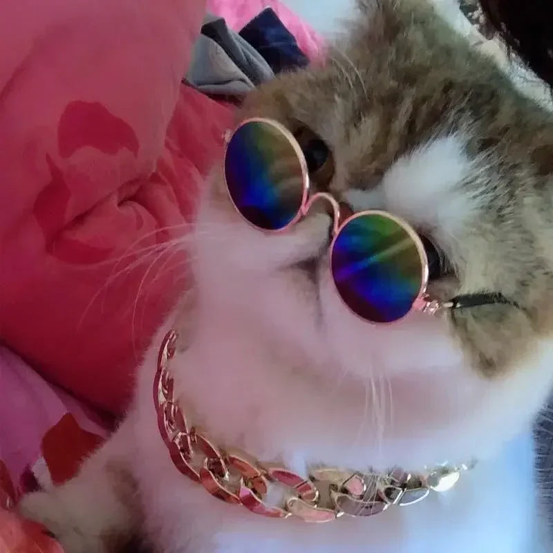 Cute Pet Sunglasses – UV Protection for Small Dogs, Cats & Photo Props
