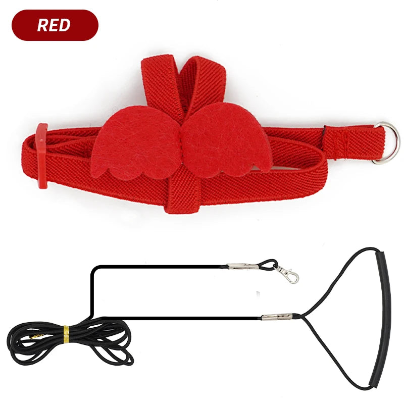 Long Cable Bird Harness & Leash