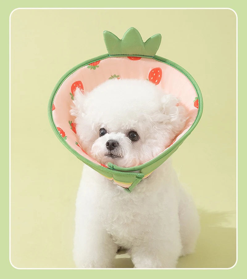 Pet Elizabethan Recovery Collar, Lick & Bite Protection Headgear for Cats and Small Dogs