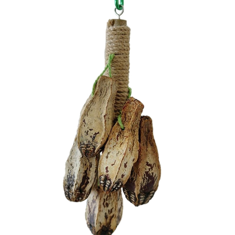 Colorful Hanging Parrot Molar Toy