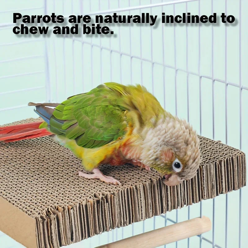 Parrot Chew Toys