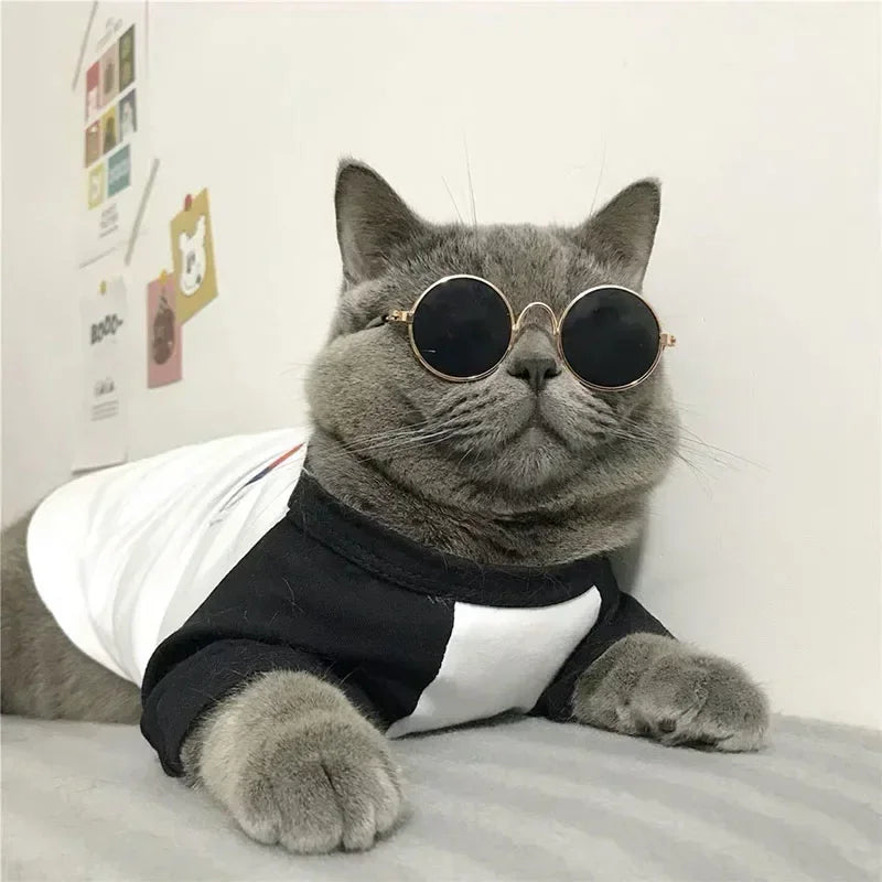 Cute Pet Sunglasses – UV Protection for Small Dogs, Cats & Photo Props