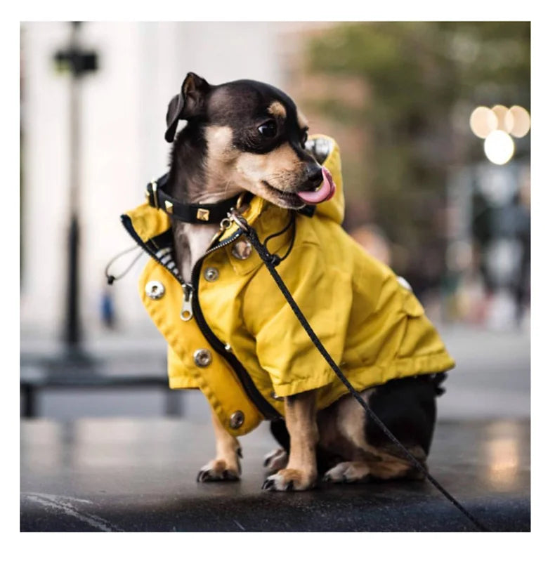 Dog Raincoat with Hood, Reflective Zip-Up Pet Jacket Windbreaker, S-5XL Large Breed