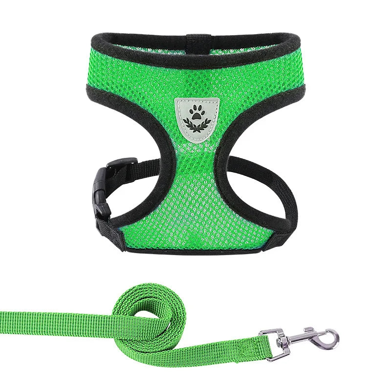 Breathable Mesh Pet Harness & Leash Set