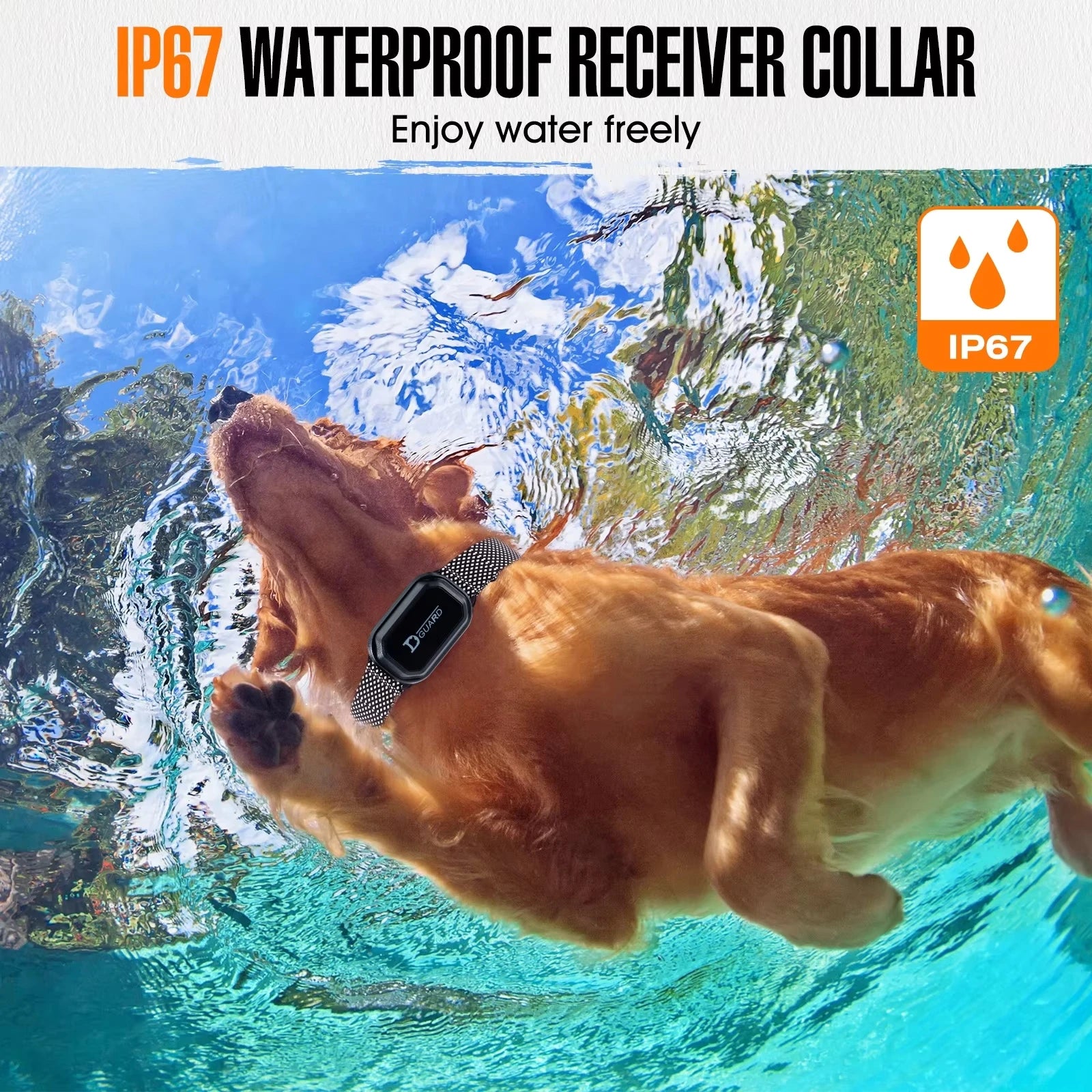 800m Waterproof Rechargeable Dog Training Collar with LCD Remote, Shock, Vibration & Sound Modes