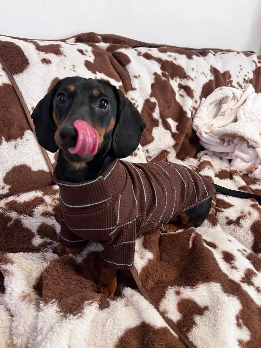 Brown Stripe 2-Leg Dachshund Sweater, Warm Elastic Dog Clothes