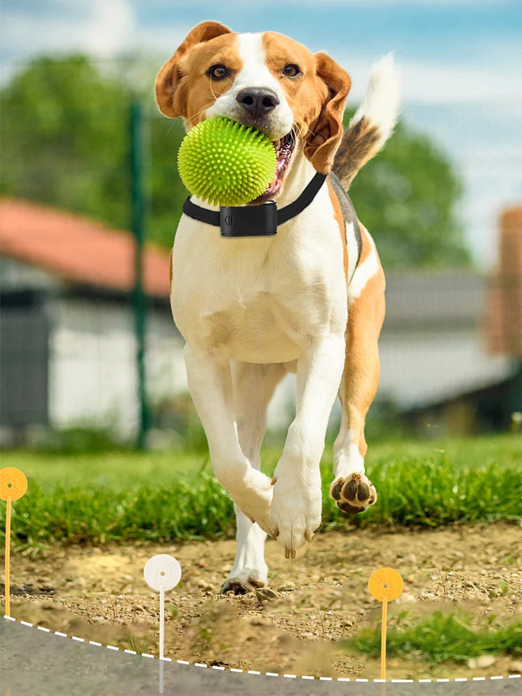 Electronic Pet Fence System with Waterproof Training Collar – Wireless Containment for Dogs