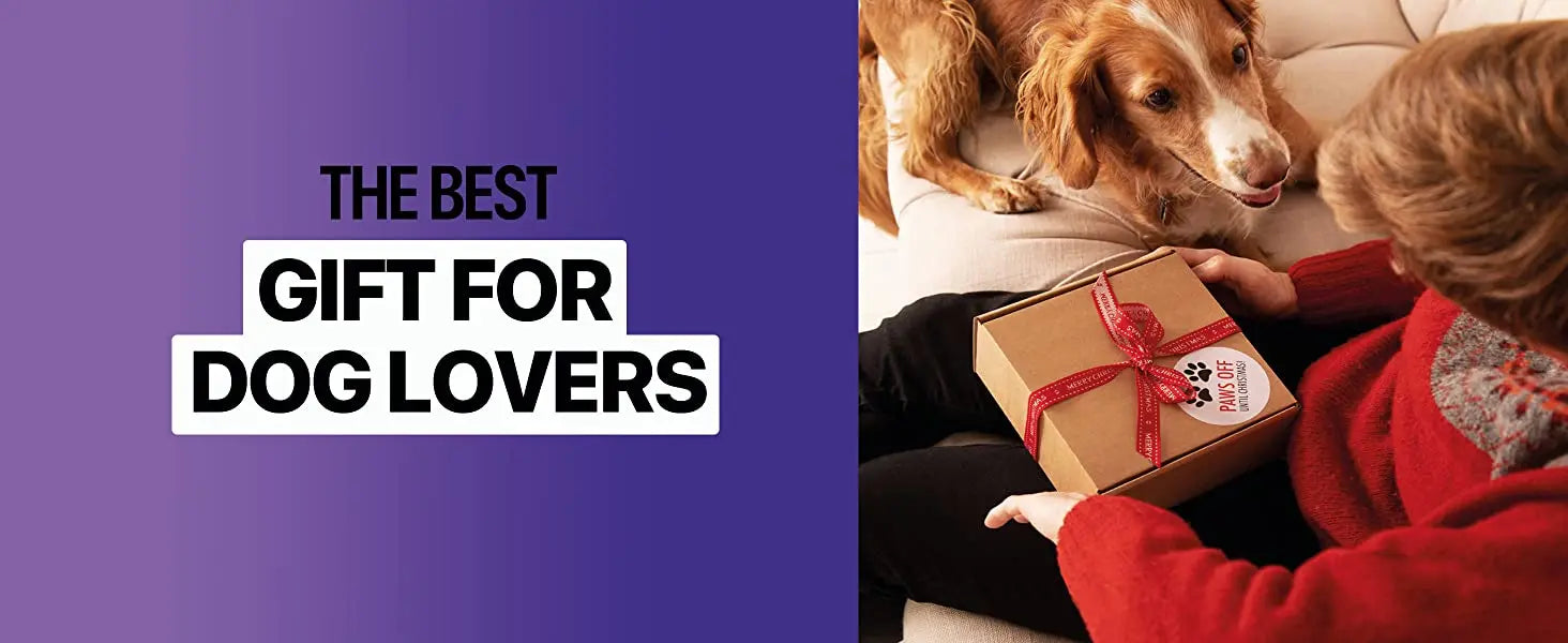 Rechargeable Ultrasonic Dog Repeller & Anti-Bark Training Device with LED 2023