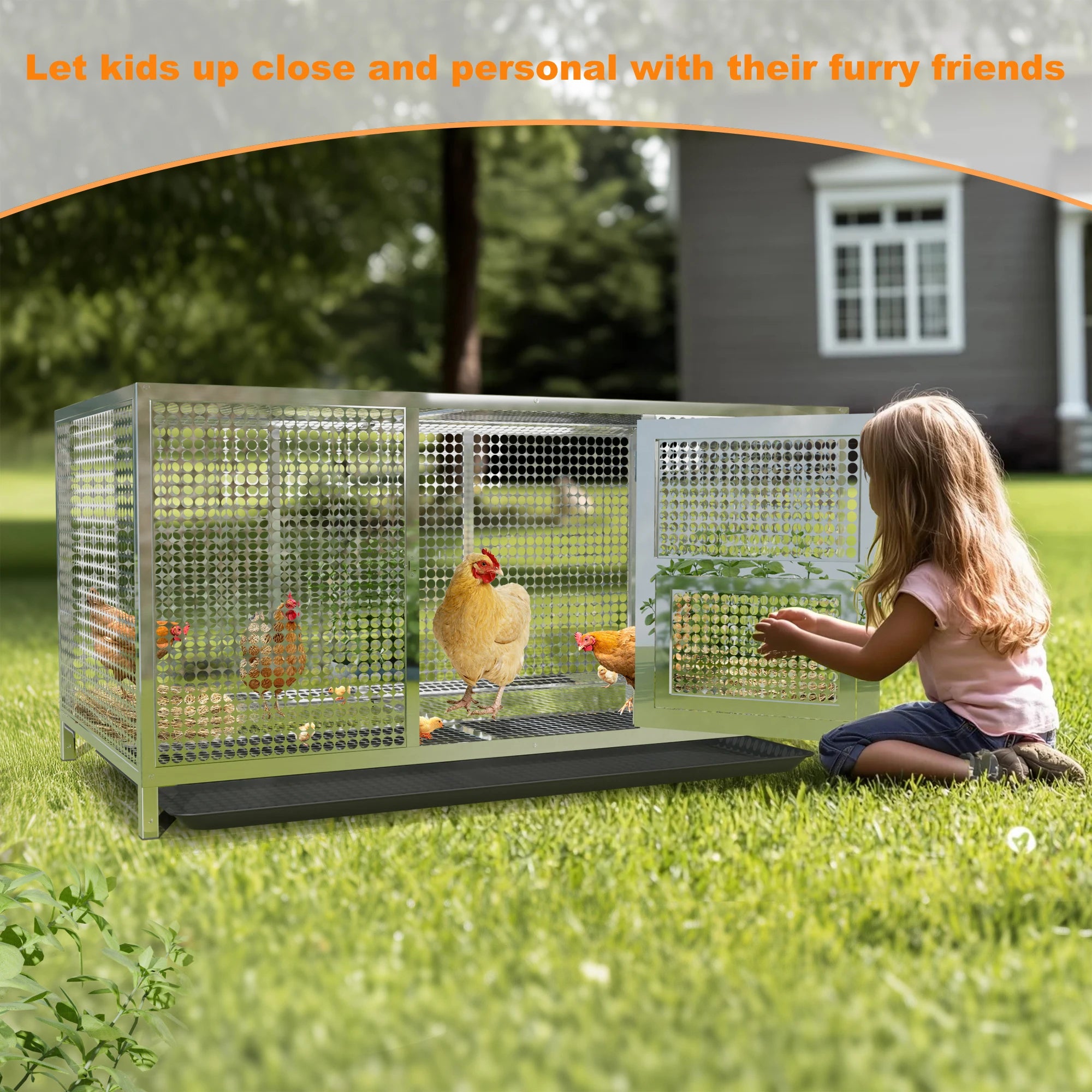Heavy-Duty Stainless Steel Chicken Coop