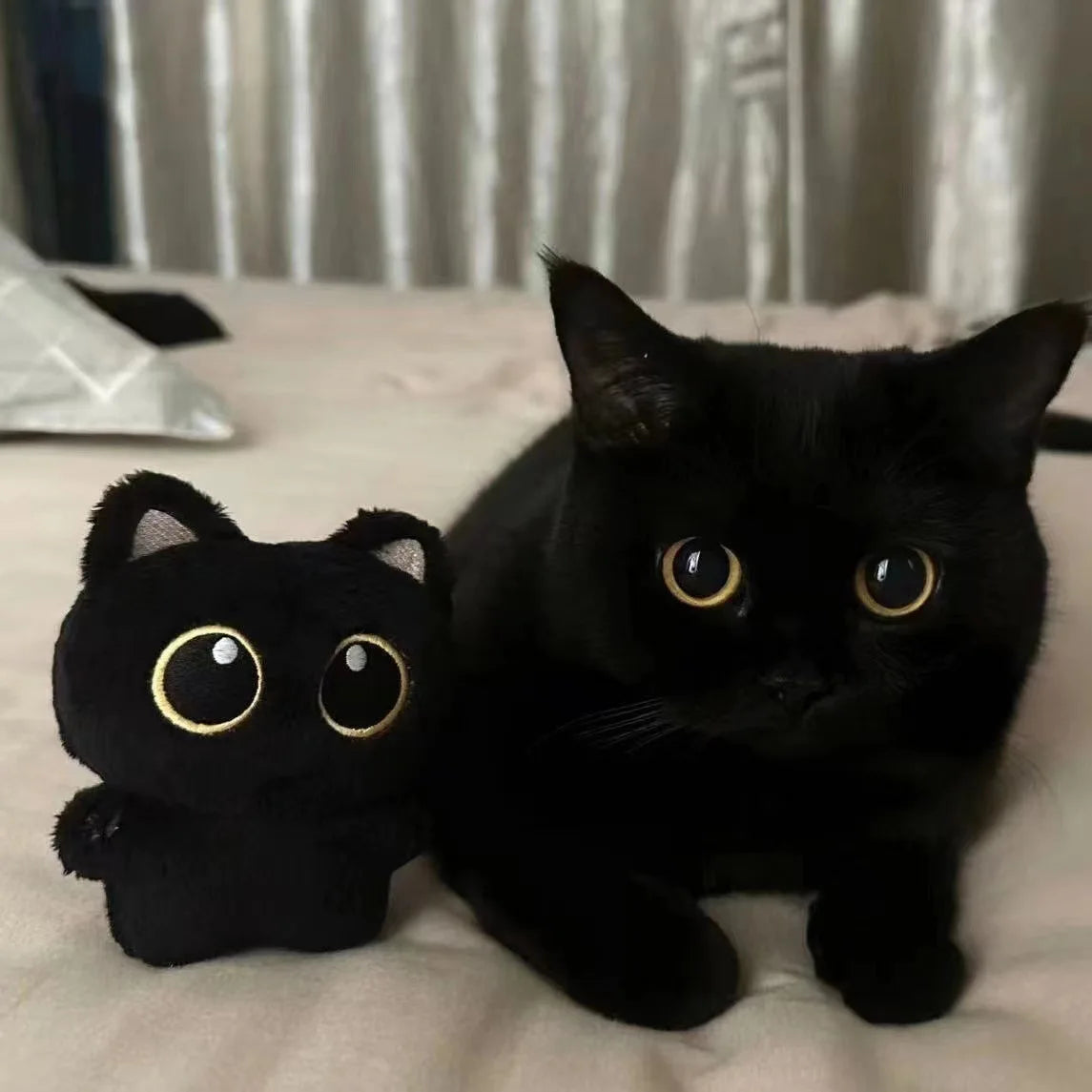 10cm Cute Black Cat Plush Toy Pendant & Cushion — Soft Gift for Kids