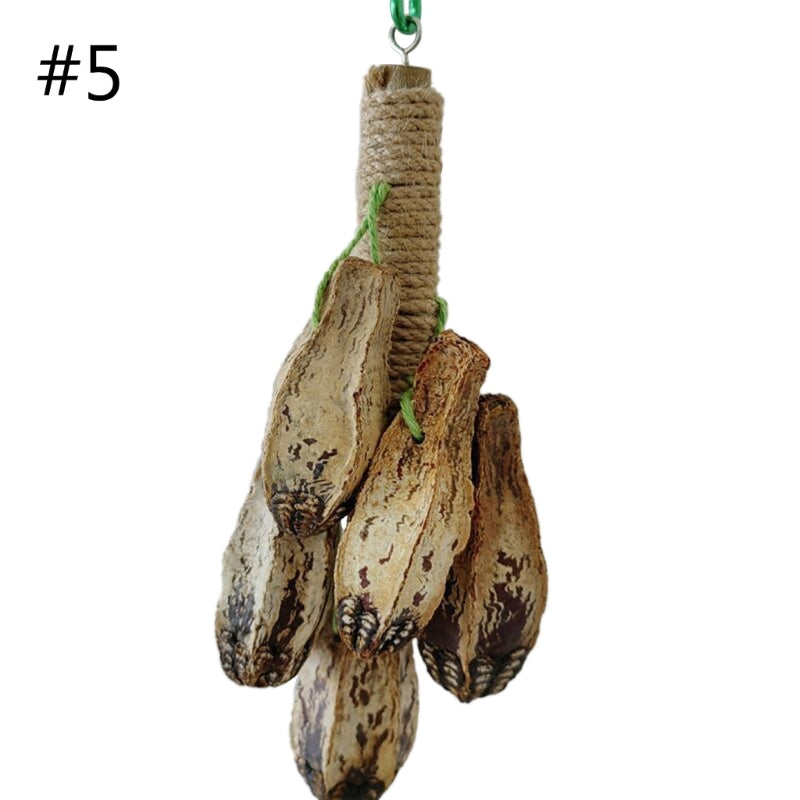Colorful Hanging Parrot Molar Toy