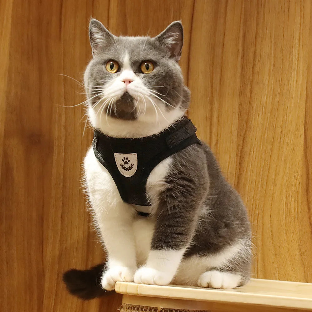 Escape-Proof Vest for Cats, Puppies, and Small Dogs