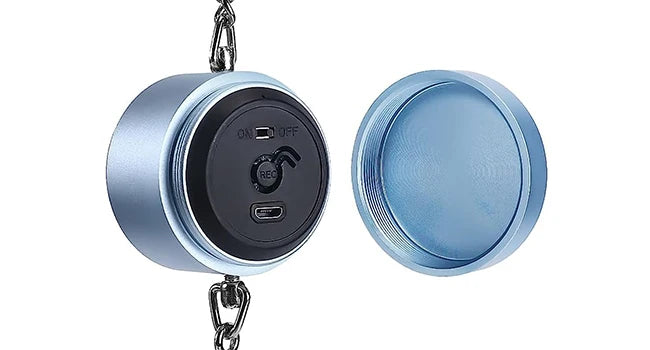 Interactive Talking Training Toy for Parrots — Voice Recording & Playback