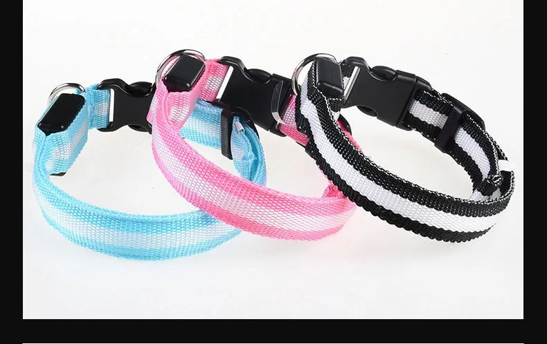 Luminous LED Dog Collar