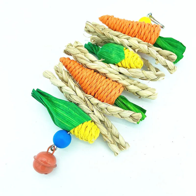 Parrot Chew & Cage Hanging Toy