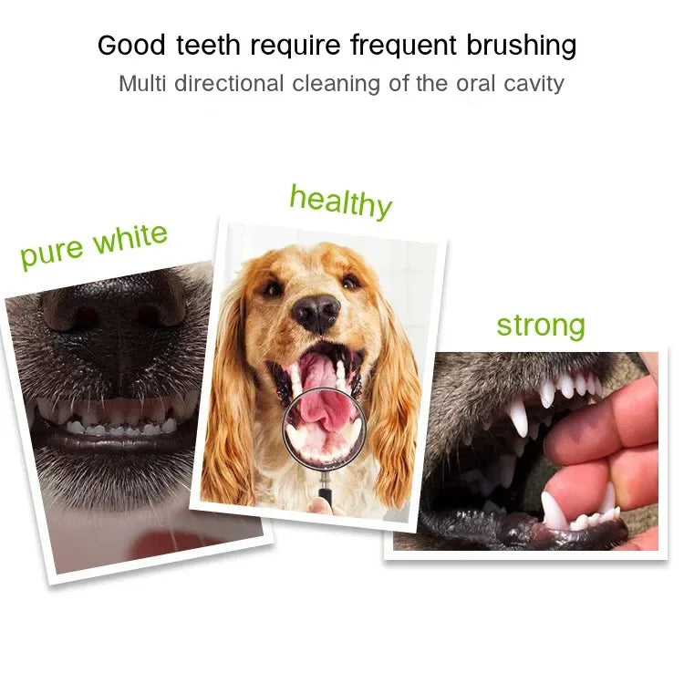 3-Sided Pet Toothbrush for Dogs & Cats, Dental Cleaning Tool for Bad Breath & Tartar Removal