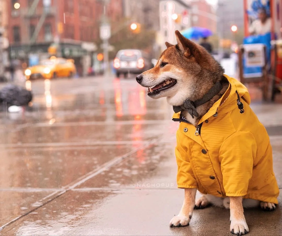 Dog Raincoat with Hood, Reflective Zip-Up Pet Jacket Windbreaker, S-5XL Large Breed