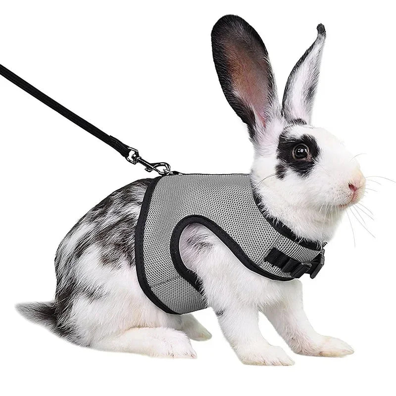 Multi-Color Breathable Vest & Adjustable Harness with Leash for Small Pets