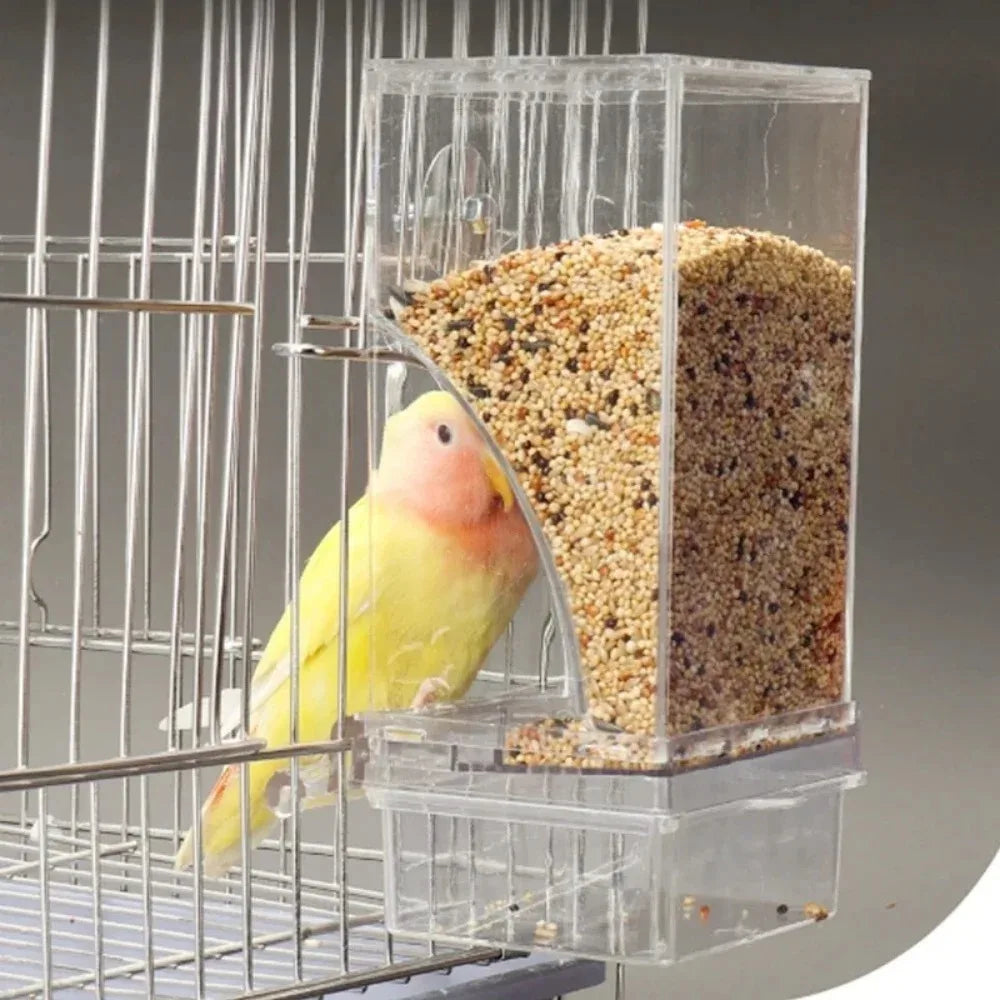 Large Capacity Splash-Proof Automatic Bird Feeder for Small Parrots