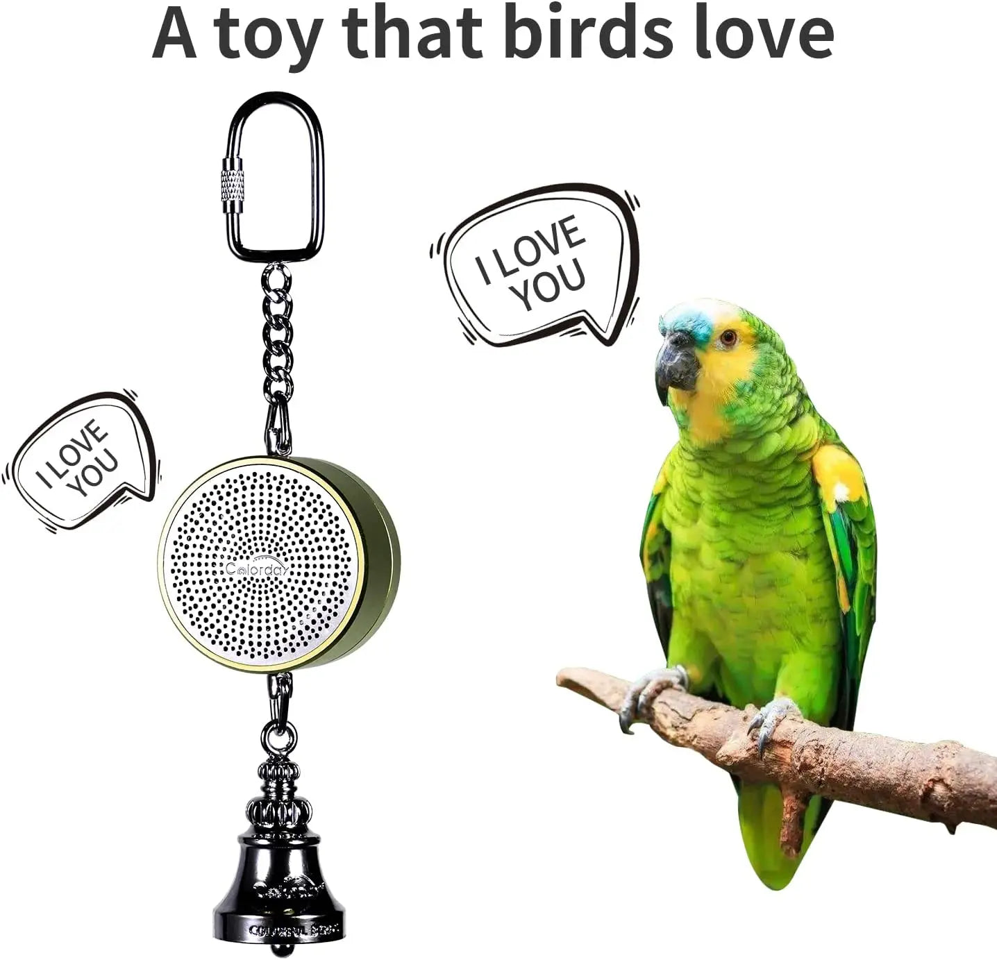 Interactive Talking Training Toy for Parrots — Voice Recording & Playback
